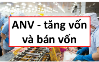 Định giá cổ phiếu ANV, báo cáo phân tích ANV, định giá ANV, cổ phiếu ANV, phân tích ANV, phân tích cổ phiếu ANV