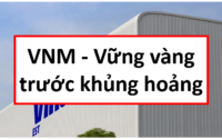 Báo cáo phân tích VNM, định giá cổ phiếu VNM, phân tích VNM, định giá VNM, phân tích cổ phiếu VNM, cổ phiếu VNM