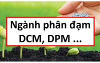 Phân tích cổ phiếu phân bón, phân tích cổ phiếu phân đạm, phân tích cổ phiếu DCM, phân tích cổ phiếu DPM, cổ phiếu DCM, cổ phiếu DPM, định giá DCM, định giá DPM, định giá cổ phiếu DCM, định giá cổ phiếu DPM