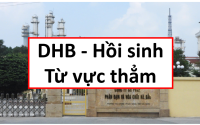 Báo cáo phân tích cổ phiếu DHB, DHB, cổ phiếu DHB, phân tích DHB, phân tích cổ phiếu DHB, định giá DHB, định giá cổ phiếu DHB, đạm hà bắc