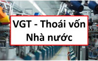Báo cáo phân tích VGT, phân tích VGT, phân tích cổ phiếu VGT, cổ phiếu VGT, định giá VGT, định giá cổ phiếu VGT
