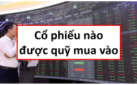 Nâng hạn FTSE, cổ phiếu nào được hưởng lợi khi nâng hạng, danh sách cổ phiếu được quỹ mô phỏng chỉ số mua vào