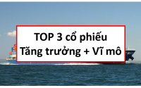 Báo cáo phân tích ngành vận tải biển, Cổ phiếu PVT, cổ phiếu VOS, cổ phiếu HAH, Phân tích PVT, phân tích VOS, phân tích HAH, Phân tích cổ phiếu PVT, phân tích cổ phiếu VOS, phân tích cổ phiếu HAH