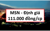 Báo cáo phân tích cổ phiếu MSN, cổ phiếu MSN, phân tích MSN, phân tích cổ phiếu MSN, định giá MSN, định giá cổ phiếu MSN, Masan group