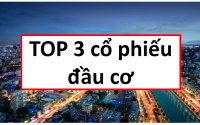 TOP 3 cổ phiếu đầu cơ, phân tích cổ phiếu VIX, phân tích cổ phiếu SHS, phân tích cổ phiếu TCH, phân tích cổ phiếu VSC, phân tích VIX, phân tích VSC, phân tích SHS