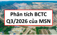 Báo cáo phân tích cổ phiếu MSN, cổ phiếu MSN, tập đoàn Masan, phân tích MSN, phân tích cổ phiếu MSN, định giá MSN, định giá cổ phiếu MSN