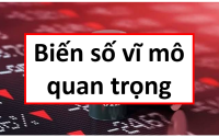 Cập nhật tình hình vĩ mô Việt Nam, tăng trưởng GDP, lạm phát, giá dầu