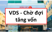 Báo cáo phân tích cổ phiếu VDS, phân tích VDS, phân tích cổ phiếu VDS, cổ phiếu VDS, định giá VDS, định giá cổ phiếu VDS, chứng khoán rồng việt