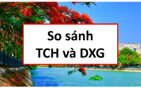 Báo cáo phân tích cổ phiếu BĐS, phân tích DXG, phân tích TCH, Bất động sản hải phòng, bất động sản TP.HCM, phân tích cổ phiếu DXG, phân tích cổ phiếu TCH, định giá cổ phiếu TCH, định giá cổ phiếu DXG